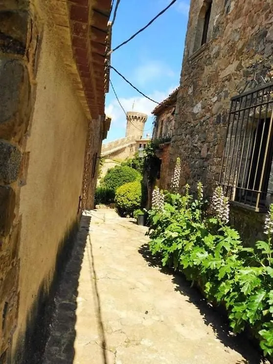 Guest house Hostal Sant Jordi Tossa de Mar
